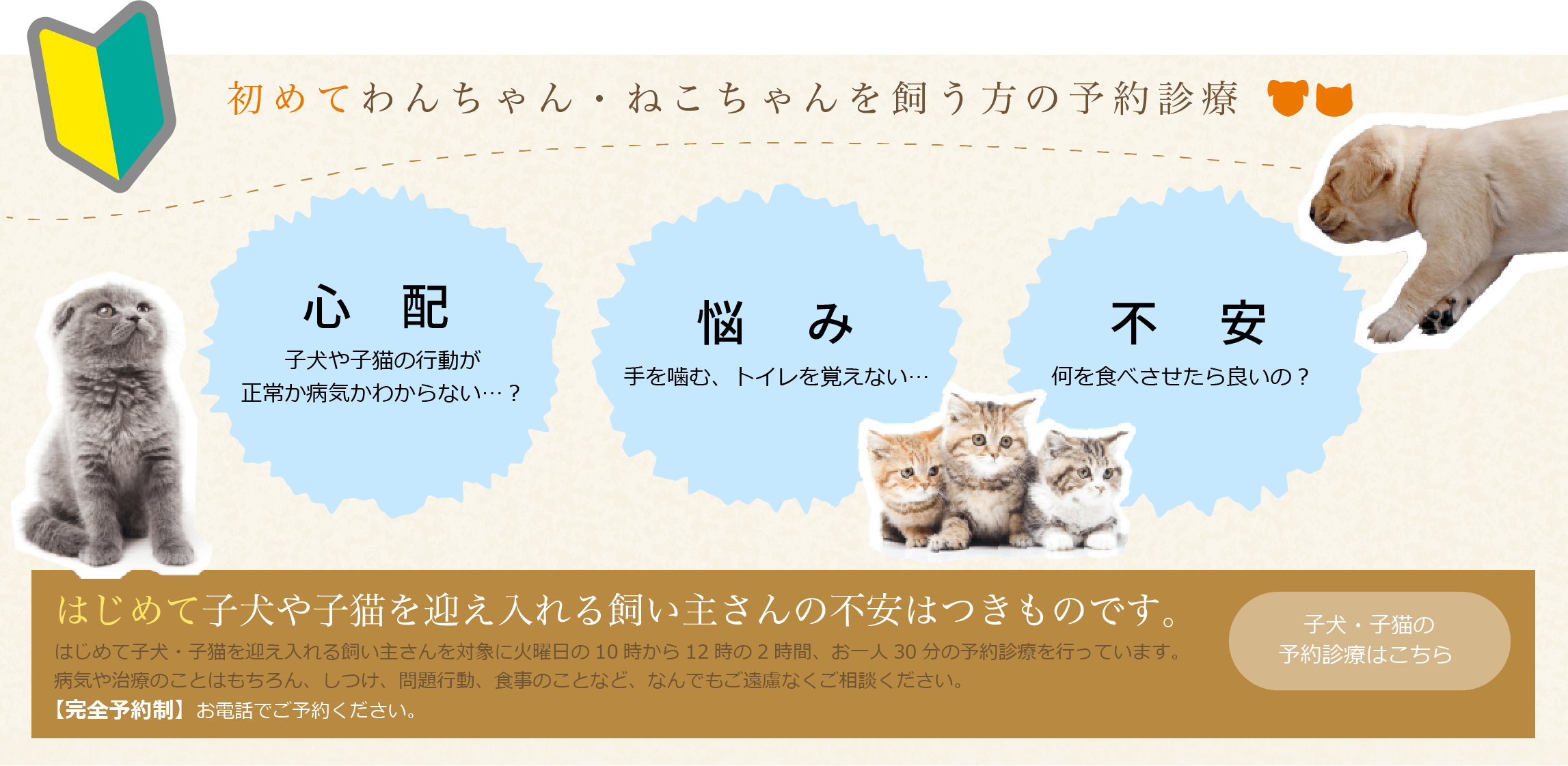 初めてわんちゃん・ねこちゃんを飼う方の予約診療 心配:子犬や子猫の行動が正常か病気かわからない…? 悩み:手を噛む、トイレを覚えない… 不安:何を食べさせたら良いの? はじめて子犬や子猫を迎え入れる飼い主さんの不安はつきものです。 シークペットクリニックは一般診診療とは別枠の12時半から13時半の1時間、お一人30分の予約診療を行っています。病気や治療のことはもちろん、しつけ、問題行動、食事のことなど、何でもご遠慮なくご相談ください。